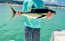 Island Cruises & Excursions1