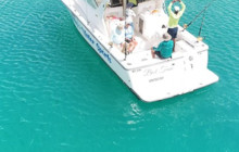 Island Cruises & Excursions2