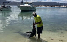 Island Cruises & Excursions6