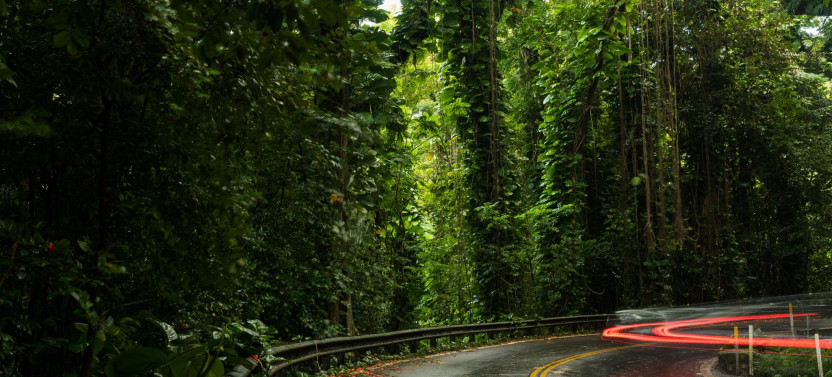 Private Halfway to Hana Tour
