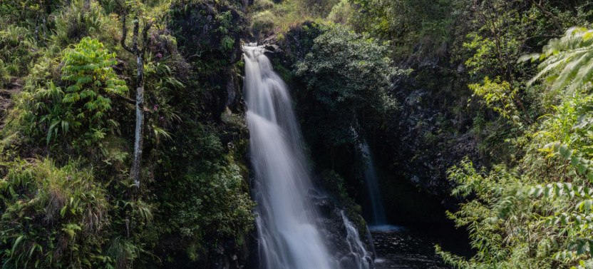 Private Halfway to Hana Tour