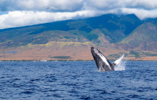 Hana Tours of Maui5