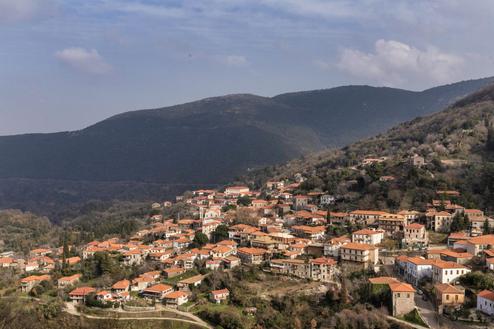 Avalon Travel Services