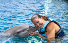 Dolphin Discovery3