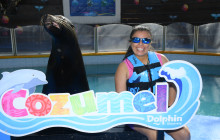 Dolphin Discovery3