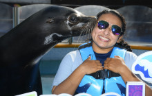 Dolphin Discovery1