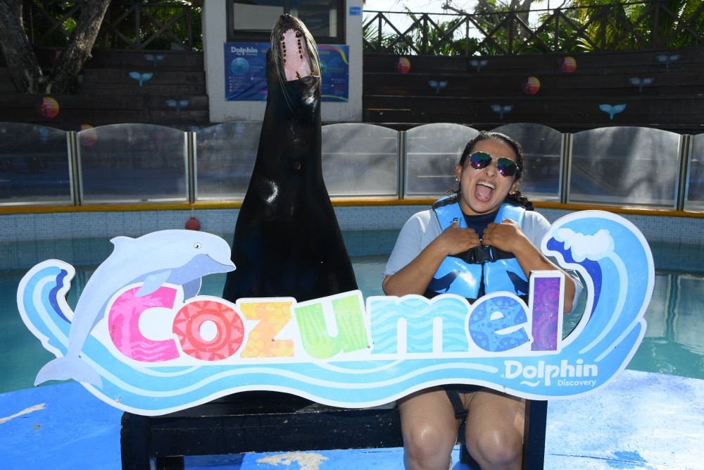 Swimming With Sea Lions In Cozumel With Dolphin Discovery
