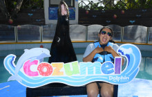 Dolphin Discovery4