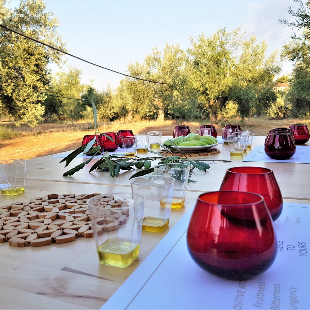 Apostle Paul in Corinth & Olive Oil Experience all day Tour
