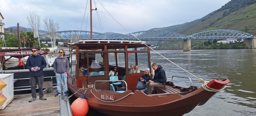From Porto: Private Douro Valley Tour via Provesende and Pinhão