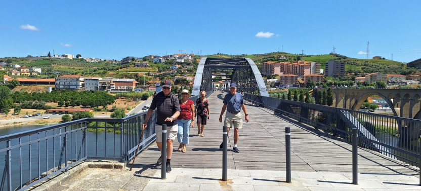 From Porto: Private Douro Valley Tour via Provesende and Pinhão