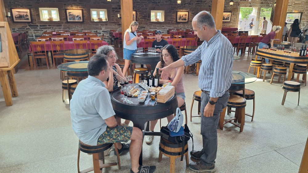 From Porto: Private Douro Valley Tour via Provesende and Pinhão