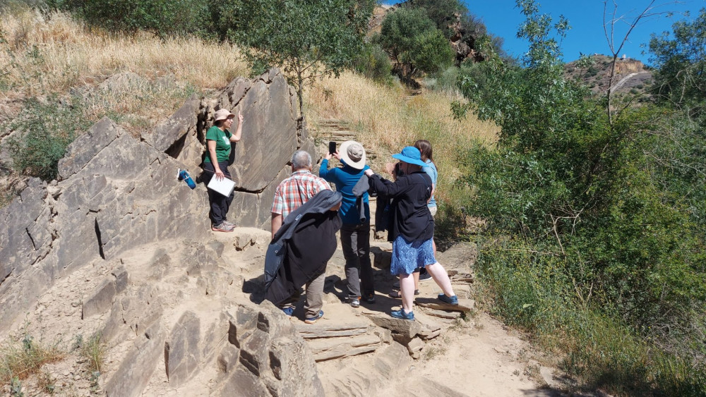 Private Douro Tour: Foz Côa Rock Art, Pinhão and Scenic Douro