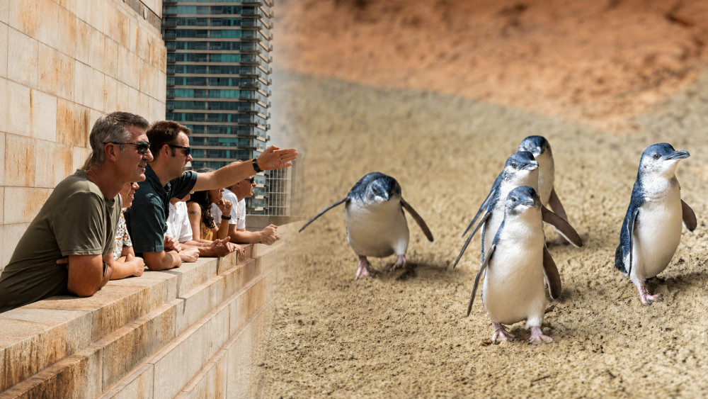 Melbourne Magic: City Discovery & Penguin Parade Tour