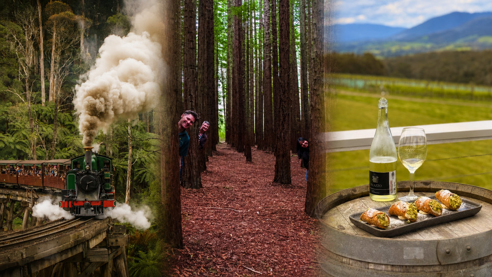 Puffing Billy & Redwoods Discovery Tour