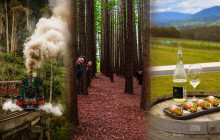 Go West Tours1
