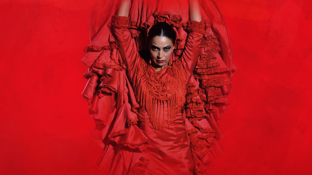 The Premium Experience at Teatro Flamenco Granada