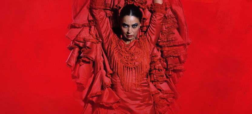 Teatro Flamenco Barcelona: Live the Flamenco Experience