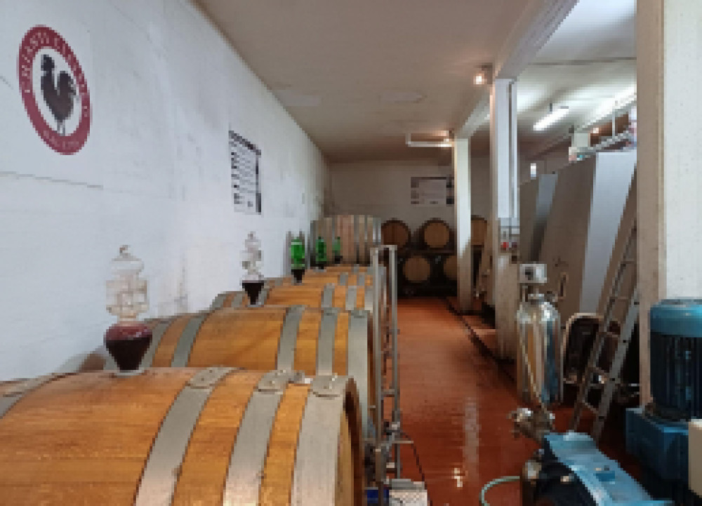Private San Gimignano, Chianti & Wine Tour