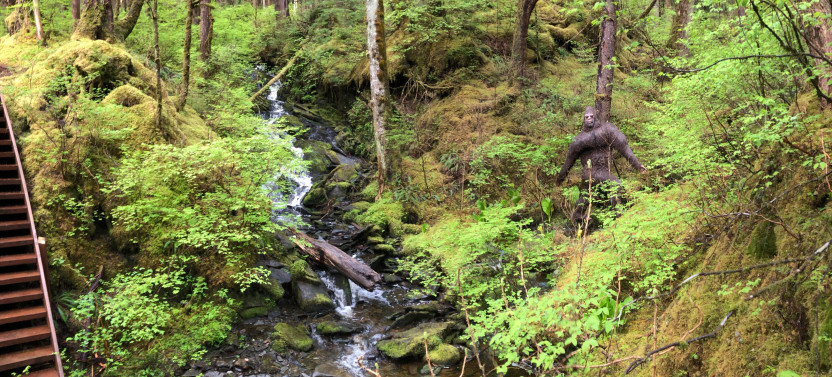 Ketchikan Town Tour, Totem Heritage Center & Trail Hike Combo
