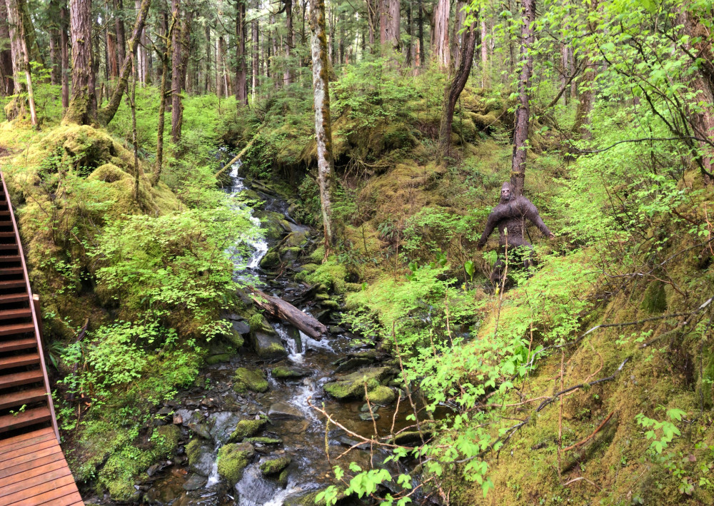 Ketchikan Town Tour, Totem Heritage Center & Trail Hike Combo