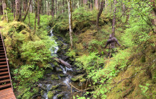 Alaska Bigfoot Adventures3