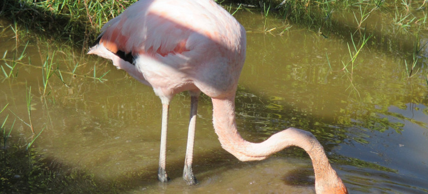 Exclusive Ecuador & Galápagos Tour | 10-Day Tailor-Made Journey
