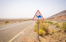 Morocco First Travel With Us12