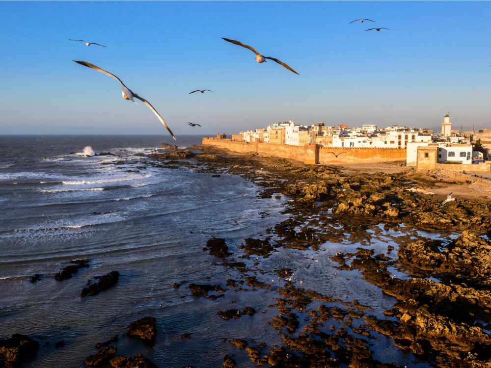 From Marrakech : 2-Days Private Essaouira City Tour