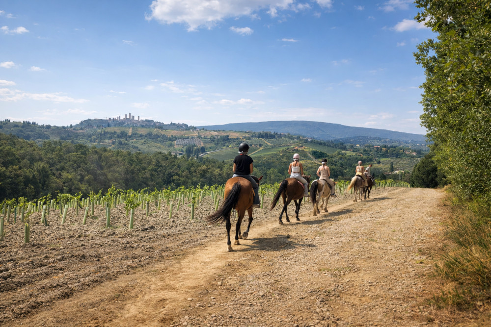 Small-Group Tuscany Horseback Ride Tour with Lunch & Wine Tasting