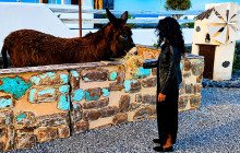 Santorini Island Tour P.C.6