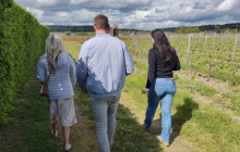 Ophorus5
