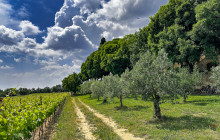 OohProvence20