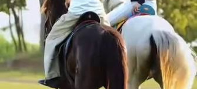 Horse Riding in Piliyandala