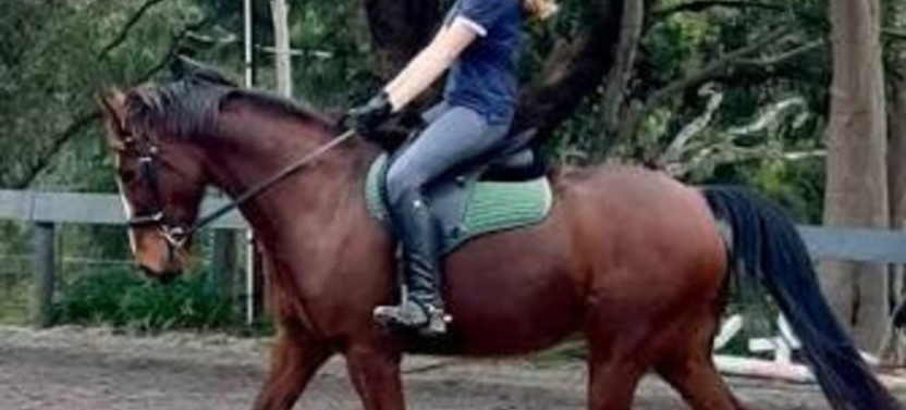 Horse Riding in Piliyandala