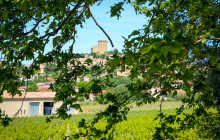 OohProvence17