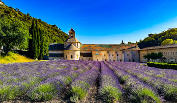 A picture of Three-Day Road Trip From Avignon to the Timeless Villages of Provence