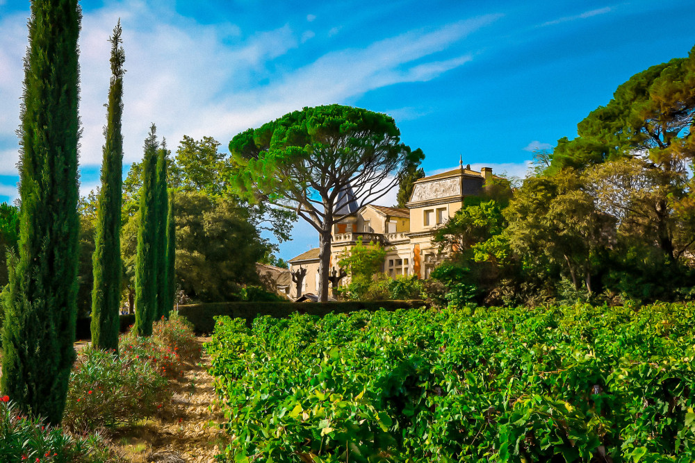 Two-Day Grand Wine Journey of Châteauneuf-du-Pape & the Rhône Valley