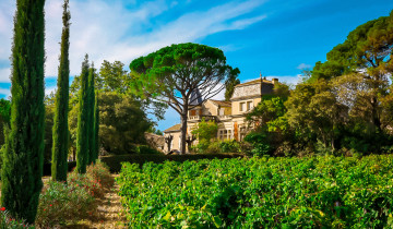 A picture of Two-Day Grand Wine Journey of Châteauneuf-du-Pape & the Rhône Valley