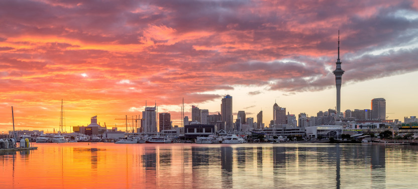 Discover Auckland City