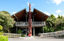 Auckland and Beyond Tours3