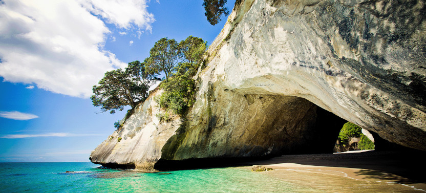 Coromandel Tour