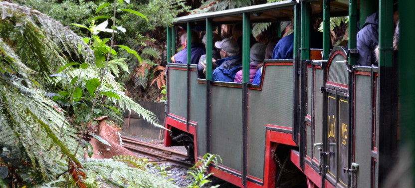 Coromandel Tour