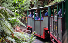 Auckland and Beyond Tours3
