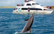Auckland and Beyond Tours5