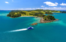 Auckland and Beyond Tours6