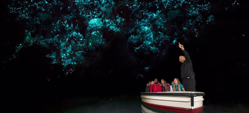 Waitomo Glow Worm Caves & Rotorua Geothermal Valley