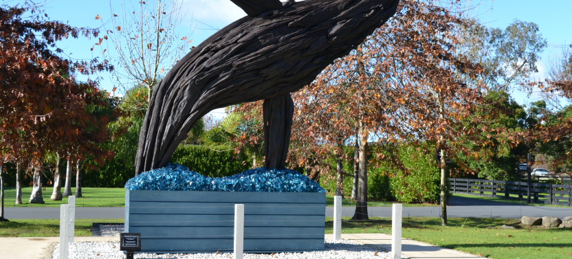 Matakana Art & Wine Village Private Tour