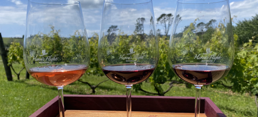 Matakana Art & Wine Village Private Tour