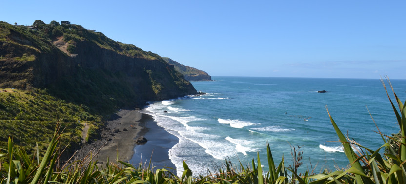 Coast to Coast Private Eco Tour